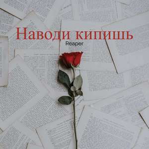 Наводи кипишь