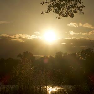 Struggles Make You Stronger