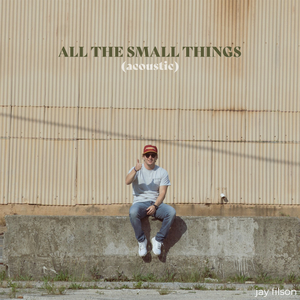 All the Small Things (Acoustic)
