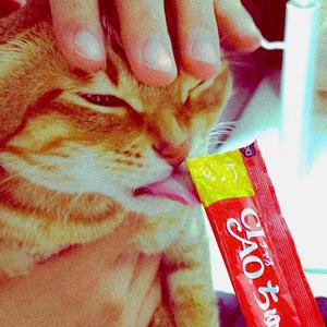 不想習慣我的厭倦和沒有打算，我也很厭倦讀電影和留在九龍塘，但很多事情就只能這樣算