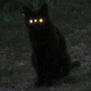 You'll Be Mine (Sylendanna Remix)