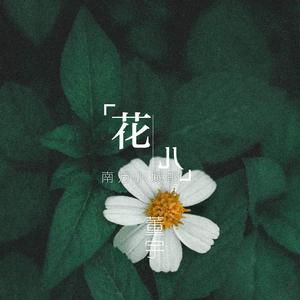 南方小城的花儿