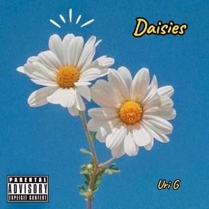 Daisies