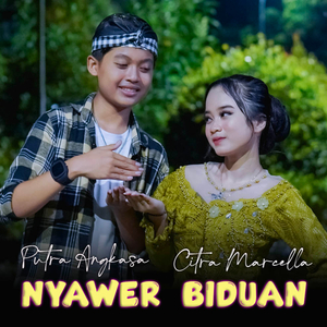 Nyawer Biduan