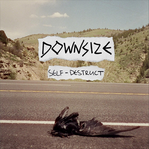 Self-Destruct