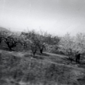 여전히 모르는것들