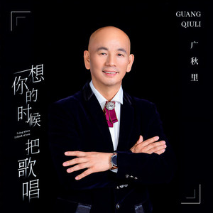 想你的时候把歌唱 (DJ何鹏版)