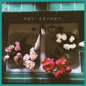 verzache -那就写一首夏天的歌吧(Remix)