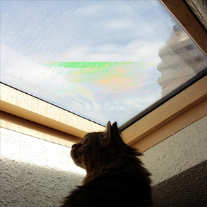 Un nuevo asalto hacia el bienestar psicológico