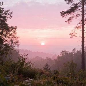 立春 (高高高. Remix)