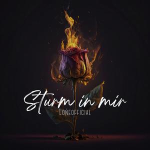 Sturm in mir (feat. Kopfchaot)
