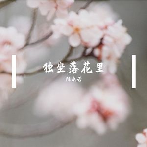 独坐落花里 伴奏