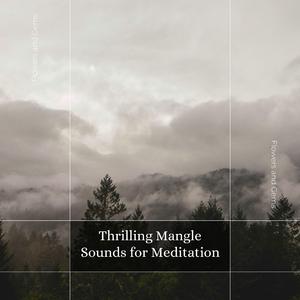 Carefree Vibrant Ambience