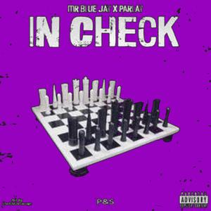 In Check (feat. Parlay) (S.U.C Remix)