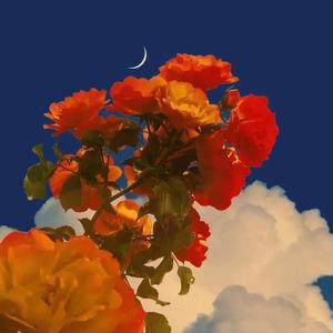 梁山伯与朱丽叶