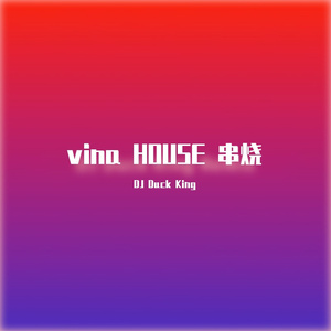 Well威尔-vina HOUSE 串烧 （DJ Duck King remix）