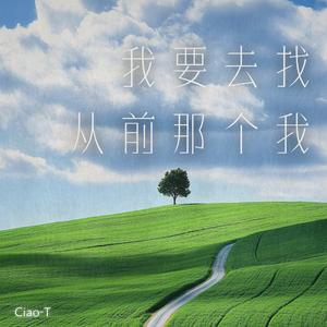 我要去找从前那个我（沧桑版）