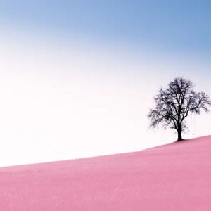 云隙流光落掌心（钢琴曲）