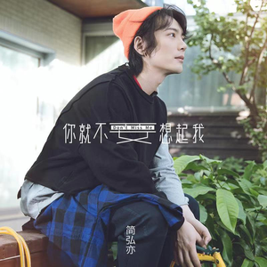 你就不要想起我 (伴奏)