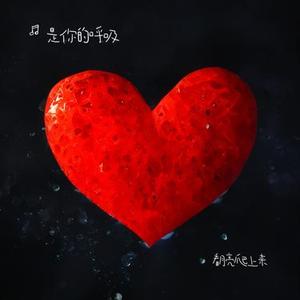 沦陷 (是你的呼吸 Remix)