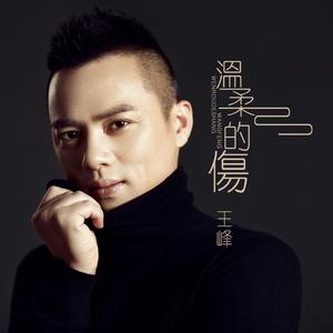 温柔的伤 (DJ何鹏版)