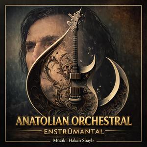 Ağlayış Ezgisi - Anatolian Orchestral - Enstrümantal