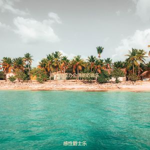 办公事务老的爵士