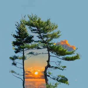 每一个沉默的瞬间