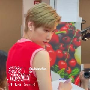 ดึกแล้วอย่าเพิ่งกลับ深夜请别回-PP Krit