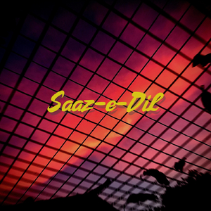 Saaz-E-Dil