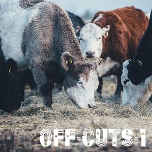 Adventures of the Wet-Footed Platterbuck