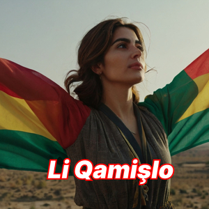Li Qamişlo