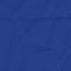 さえずり (feat. 重音テト)