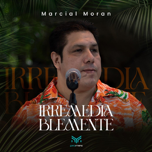 Irremediablemente