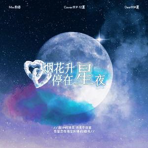 烟花升停在星夜