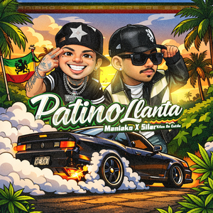 Patino Llanta