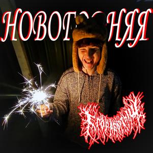 НОВОГОДНЯЯ