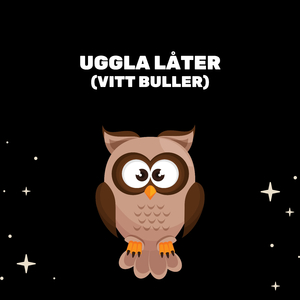 Ljud Av Ugglor