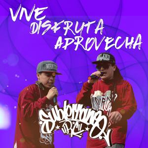 Vive Disfruta Aprovecha