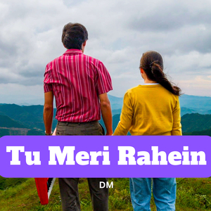 Tu Meri Rahein