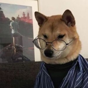 月光下的帆布袋(Prod No Birthday)