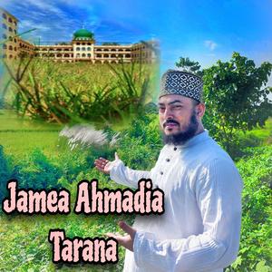 Jamea Ahmadia Sunnia Tarana