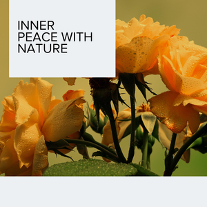 Papistical Soft Rain