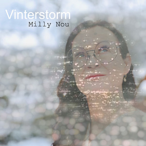 Vinterstorm