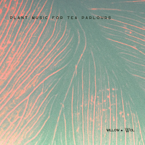 Lady of the Night (Cestrum Nocturnum)