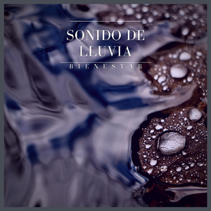 Sonido De Lluvia: Bienestar, Pt. 49