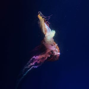 莫比乌斯号的船医