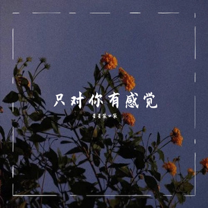 只对你有感觉