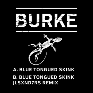 Blue Tongued Skink (JLSXND7RS Remix)