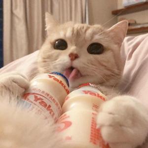 娃娃脸（翻自 一口甜）